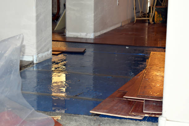Professional Flood Cleanup technician working in Dow, IL